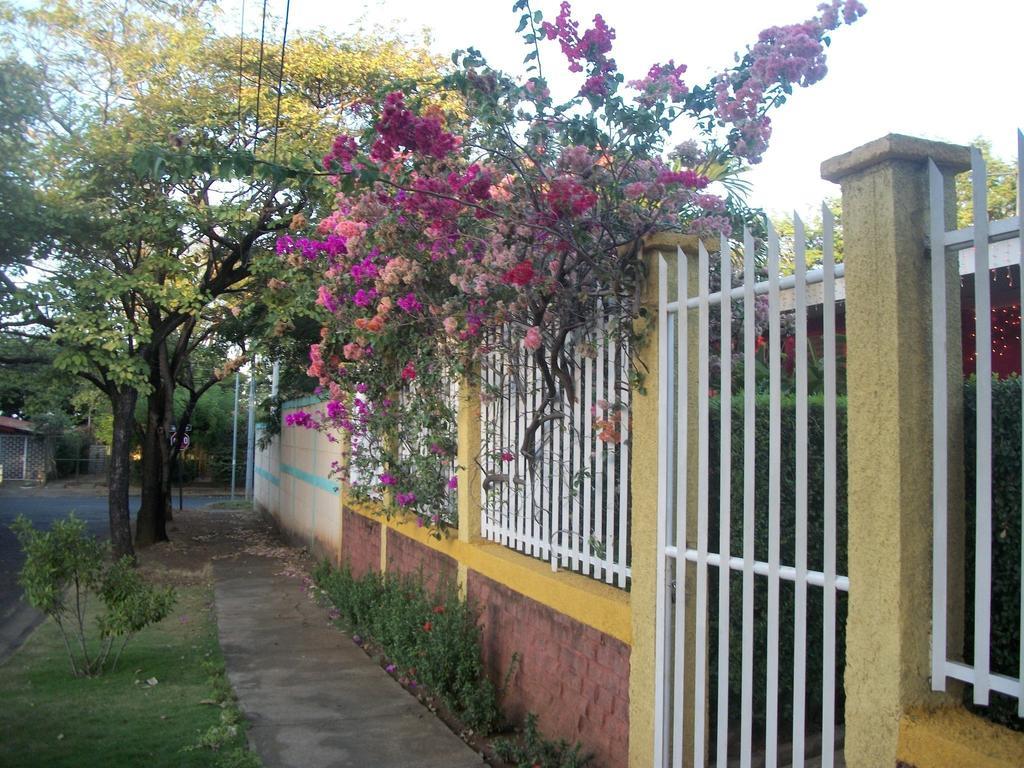 Hostal Casa Los Espinoza มานากัว ภายนอก รูปภาพ